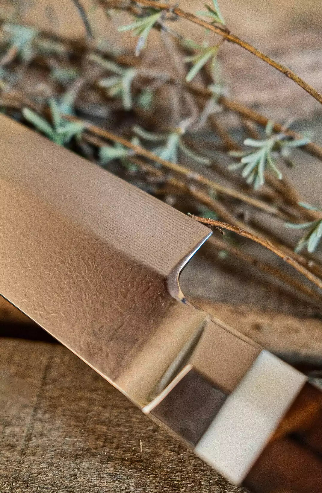 KAI SHI HOU Tanto Slicer Yanagiba