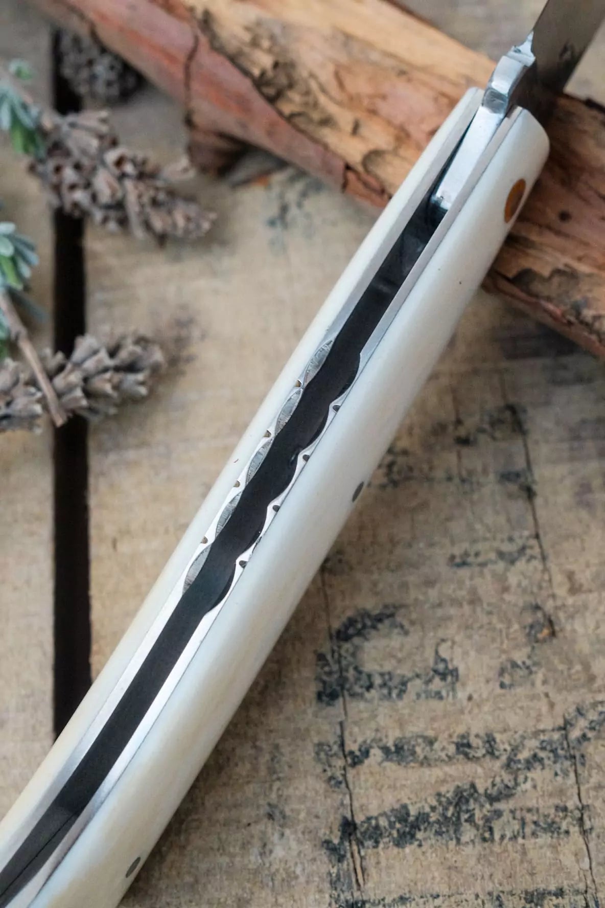 PassionFrance Alpin Büffelknochen, RWL34, verzierte Platinen