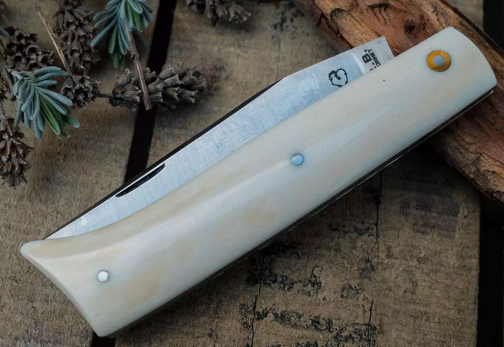 PassionFrance Alpin Büffelknochen, RWL34, verzierte Platinen
