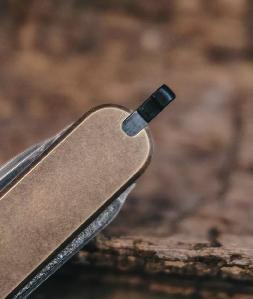 Victorinox Classic Messing-Scales (Roman Pats Exclusive)