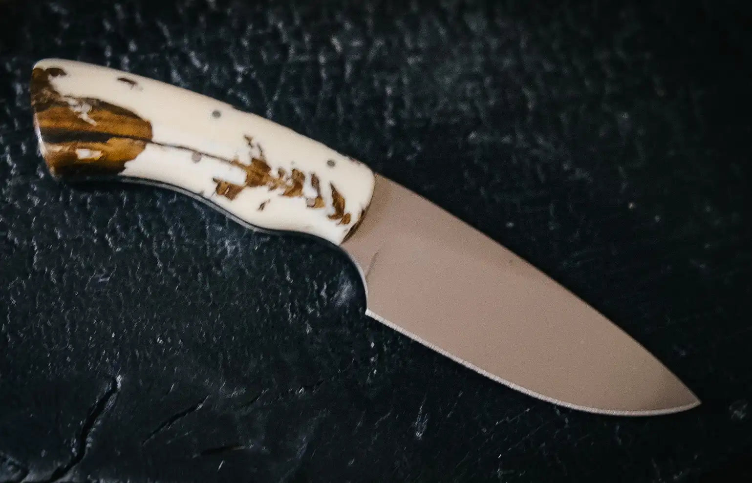Arno Bernard Knives Gecko Dyed Warthog