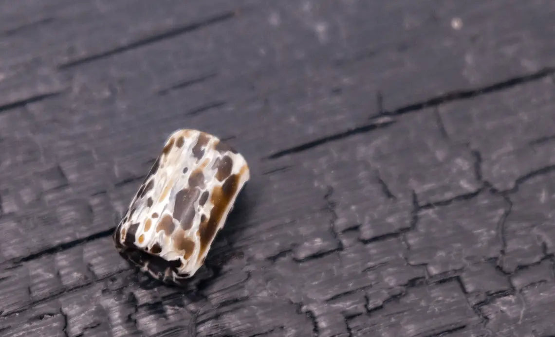 Arno Bernard Knives Bead aus Kudu-Knochen Braun