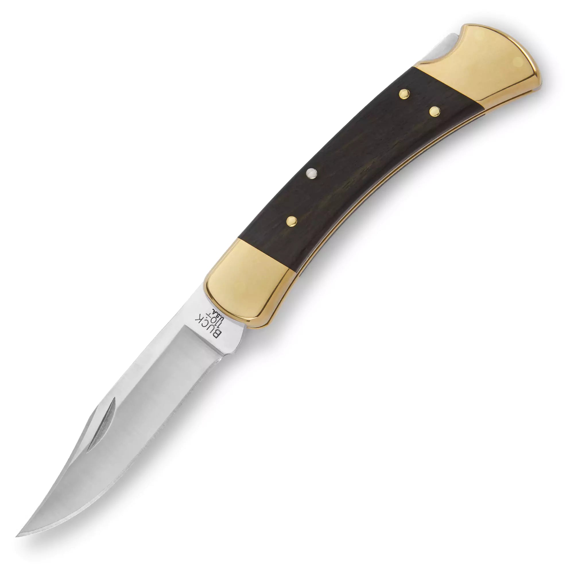 Buck 110 Folding Hunter