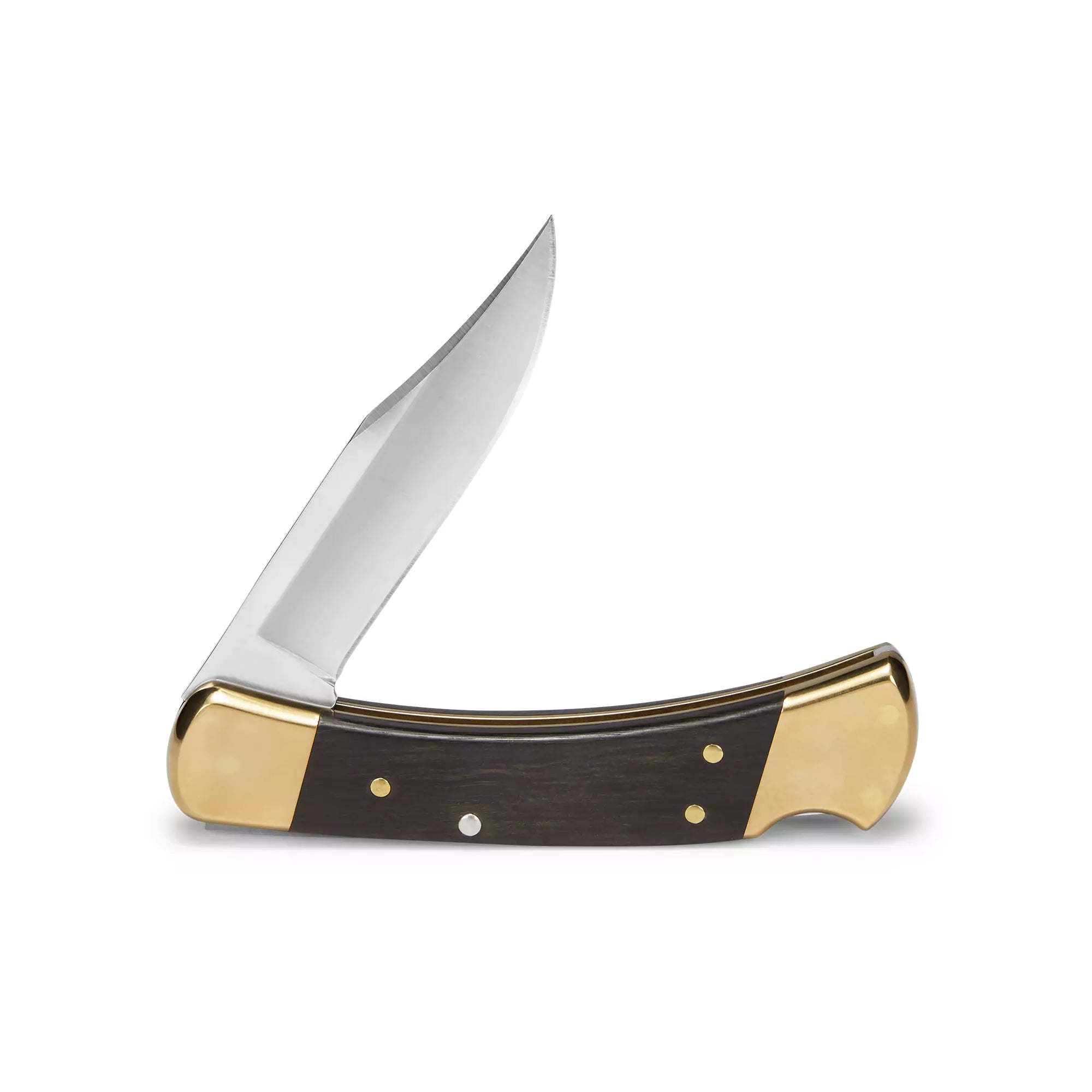 Buck 110 Folding Hunter