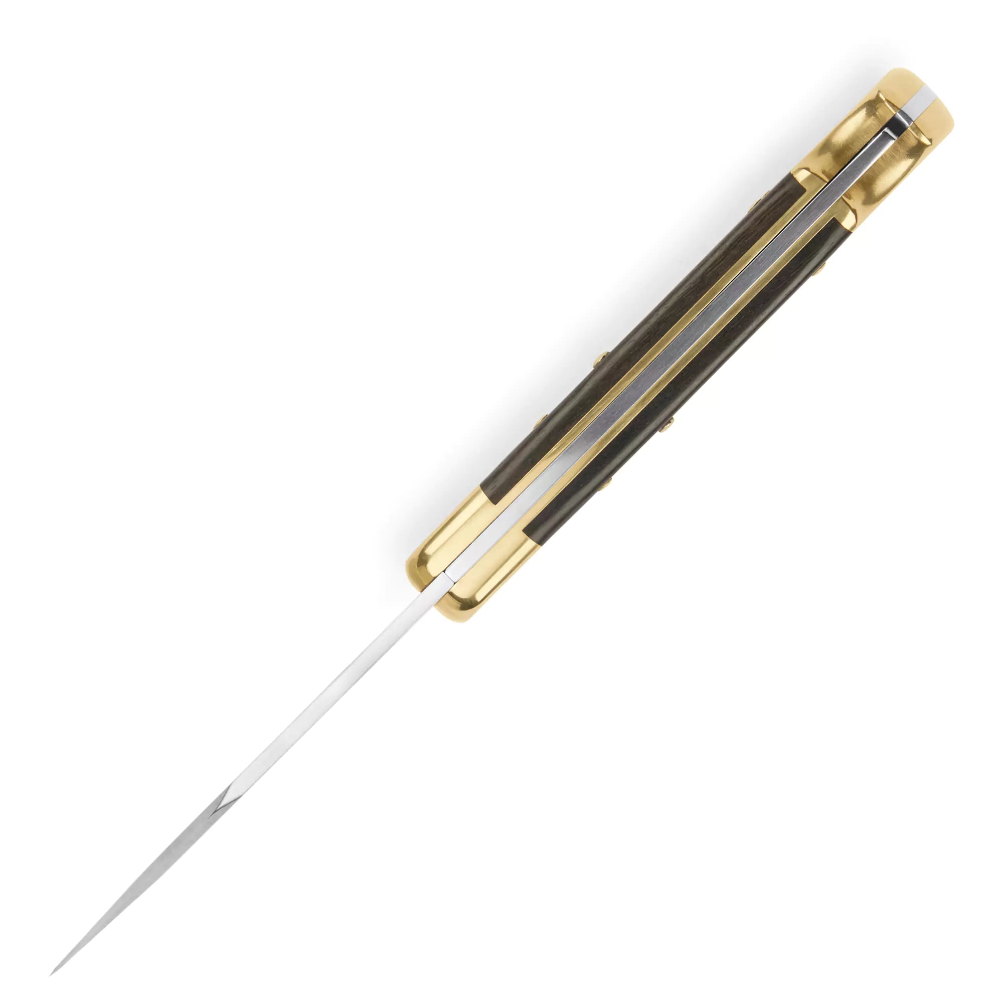 Buck 110 Folding Hunter