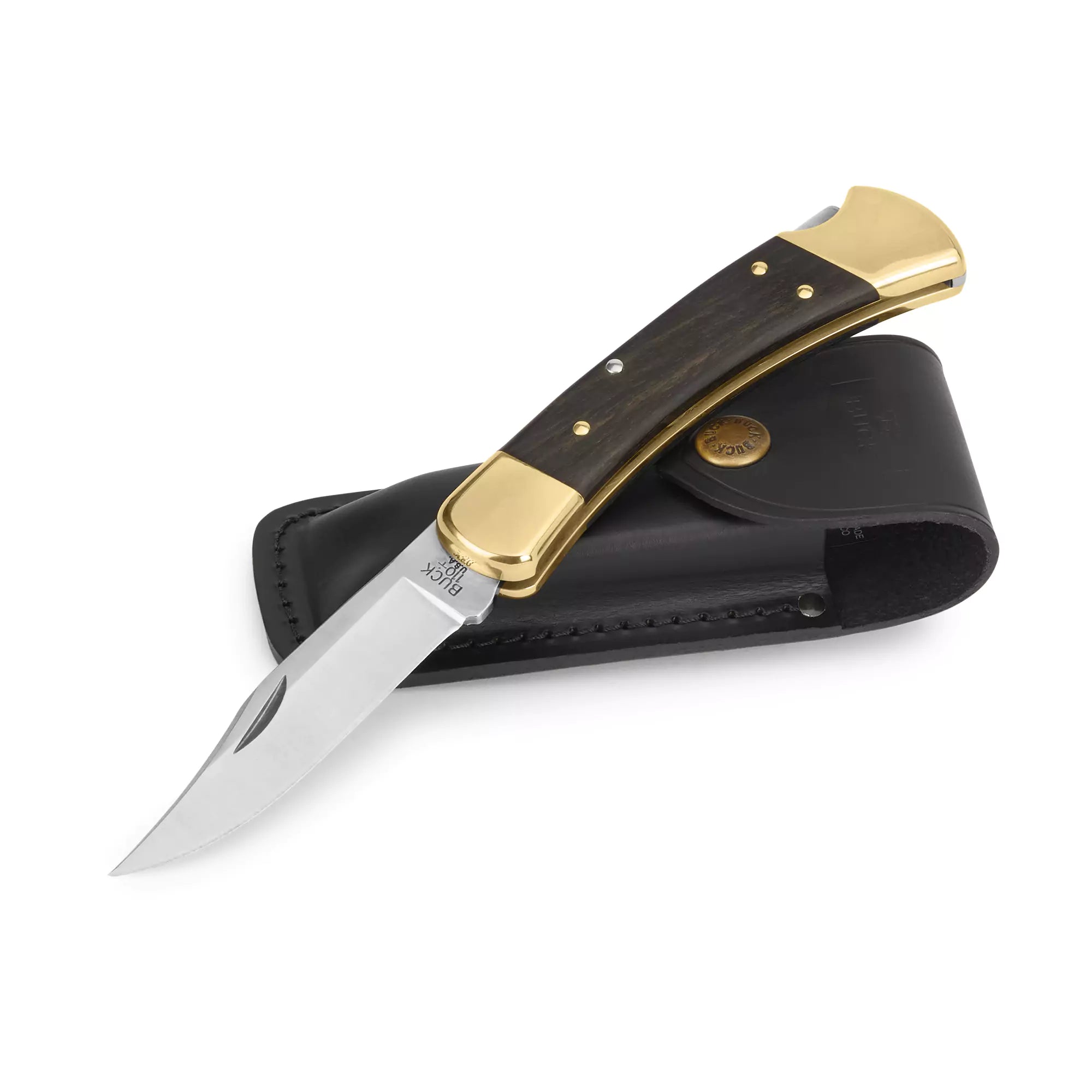 Buck 110 Folding Hunter