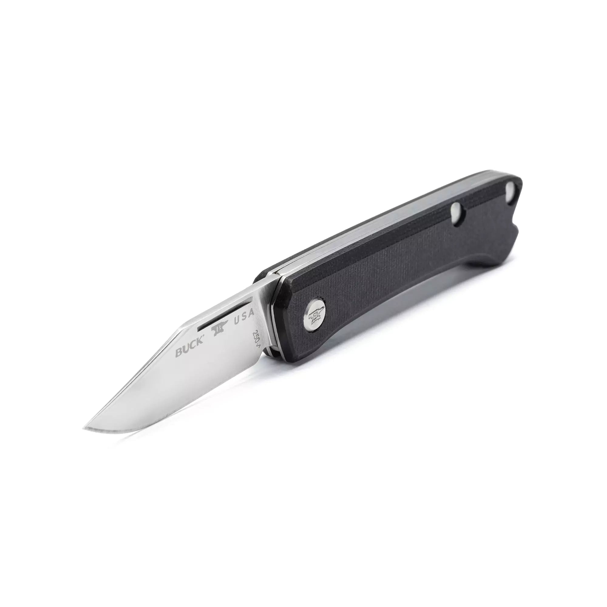 Buck 250 Saunter Clip Point Black