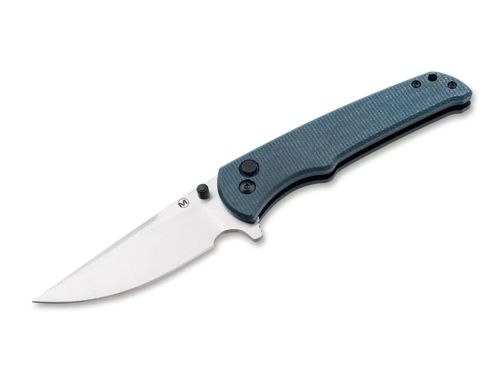 Magnum Geai bleu