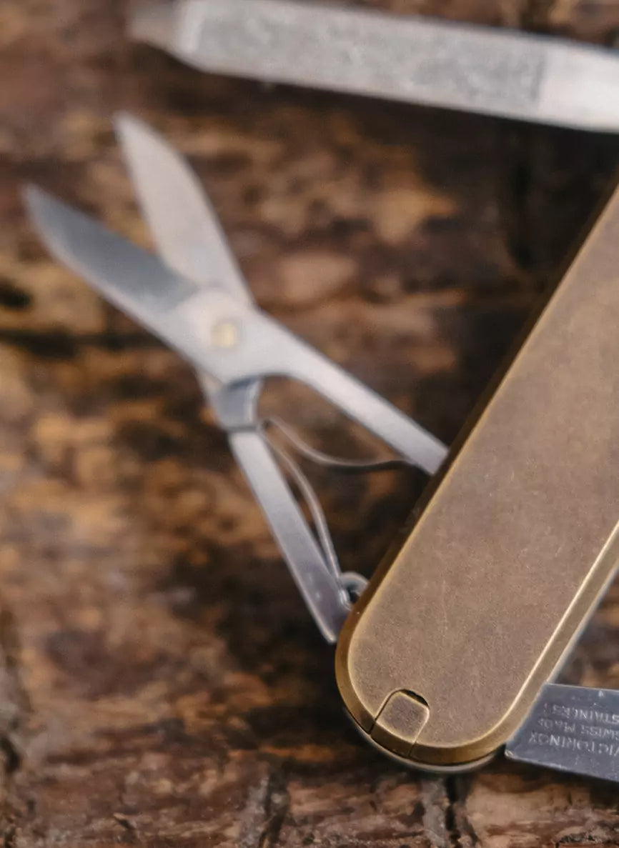 Victorinox Rambler Messing-Scales (Roman Pats Exclusive)